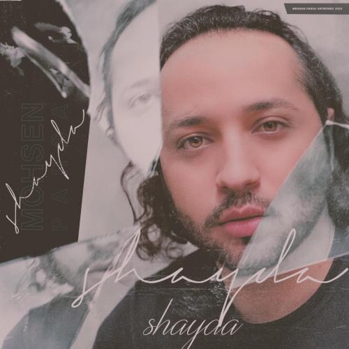 محسن پارسا شیدا